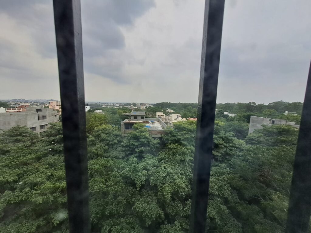 WhatsApp Image 2025-01-10 at 1.18.23 PM (2)